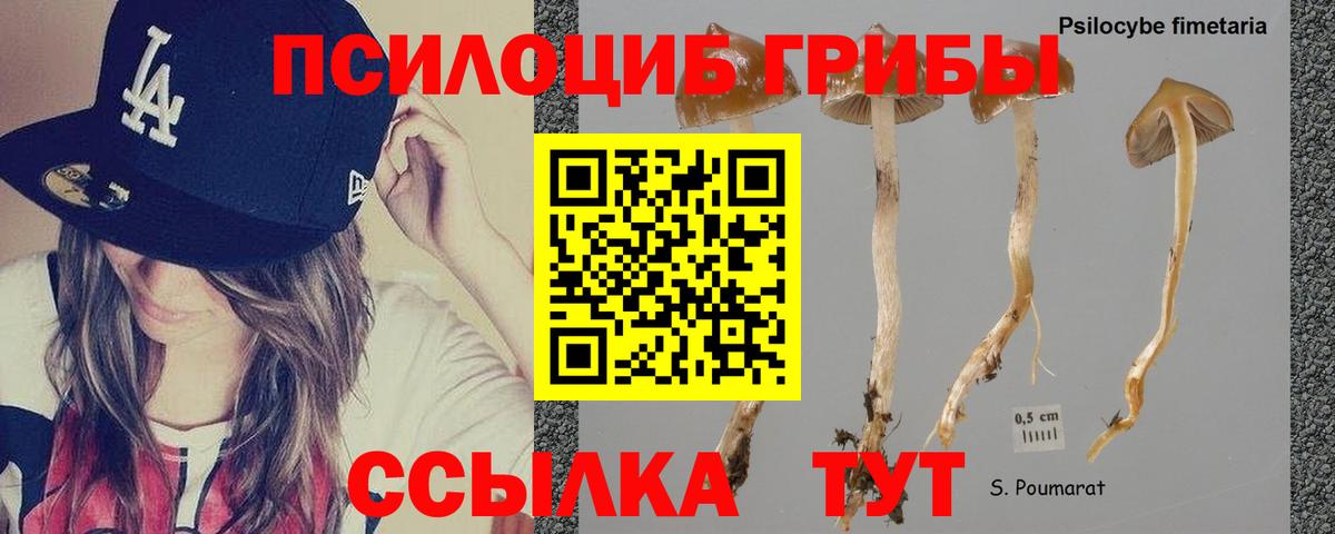 Ханты-Мансийск  Псилоцибиновые грибы Magic Shrooms  Вход с VPN  где продают   Псилоцибиновые грибы ЛСД 